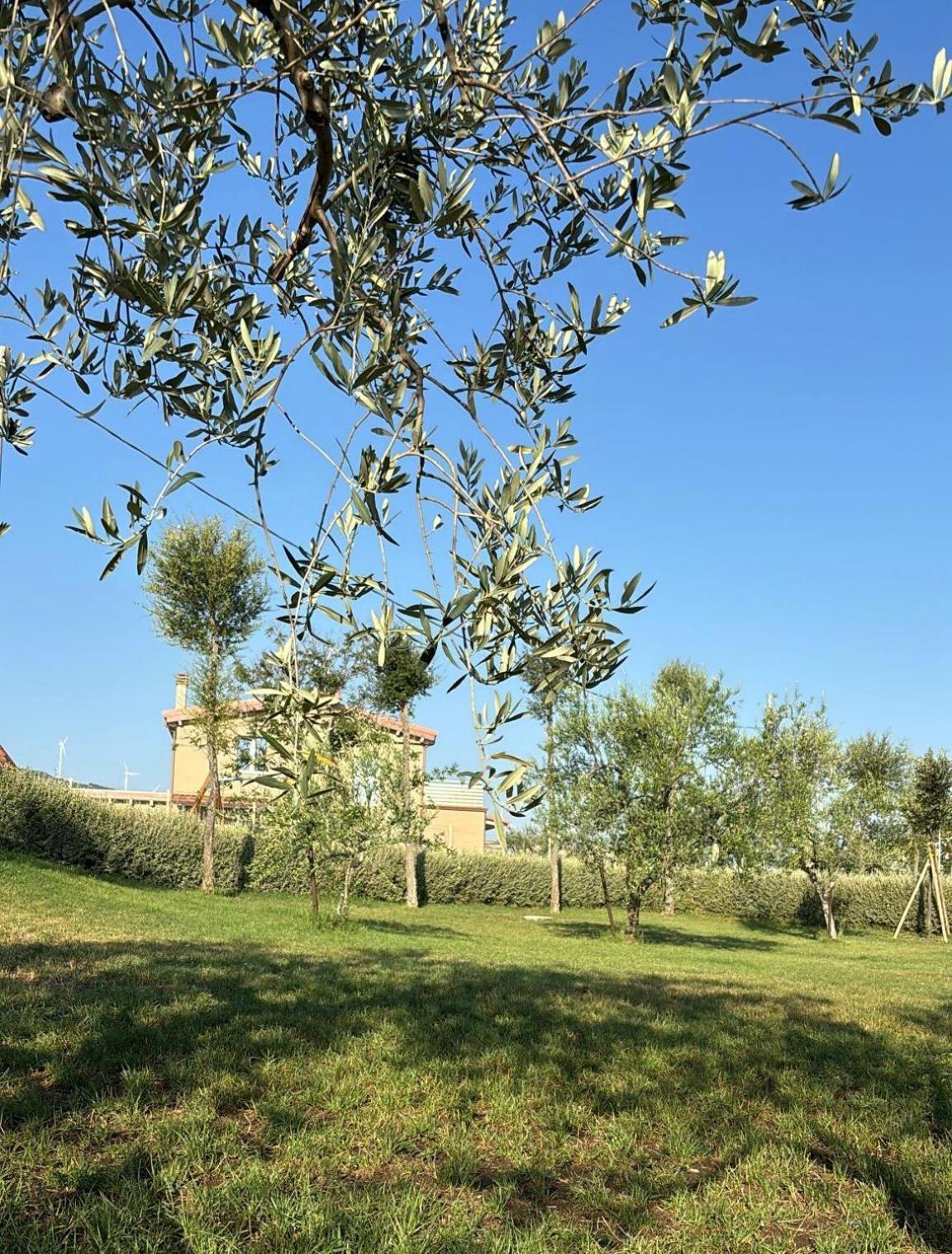 Masseria Spinale Wine Resort Melfi Kültér fotó